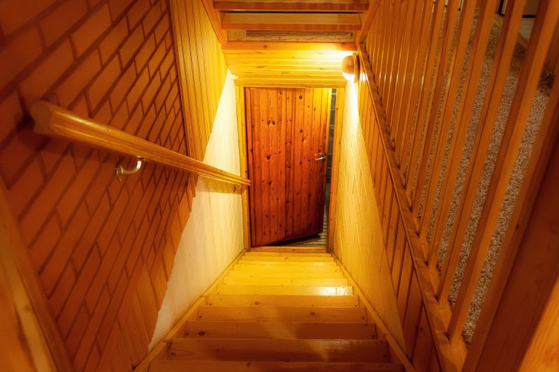 Basement Door Repair in Alpharetta, GA